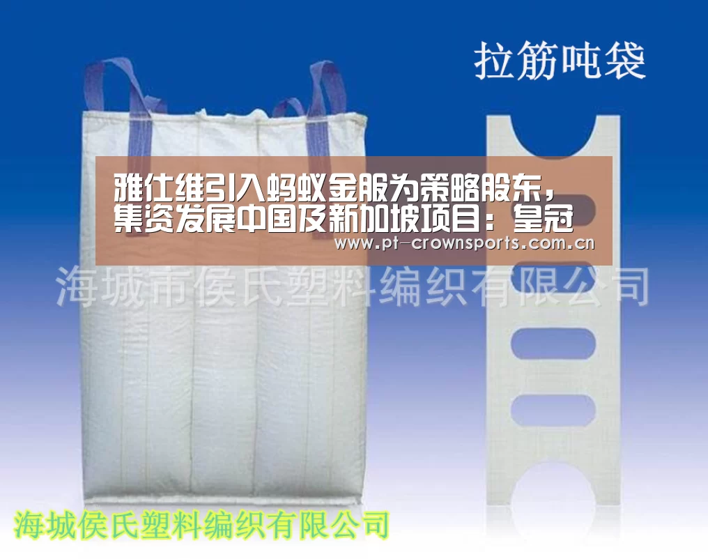 雅仕维引入蚂蚁金服为策略股东,集资发展中国及新加坡项目:皇冠体育网址(图2) 皇冠体育