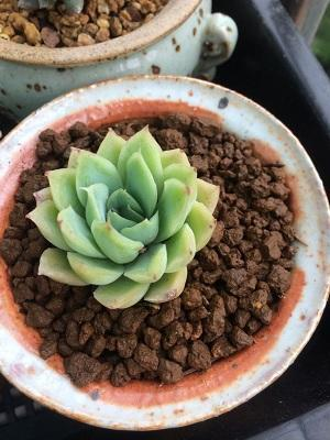【皇冠赛事】美数十万人过量服用阿片类药物致死 药企诉讼缠身(图1) 皇冠体育下载